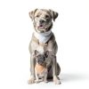 BlissBud Dog Bandana Cotton Adjustable Large Pet Accessory-2