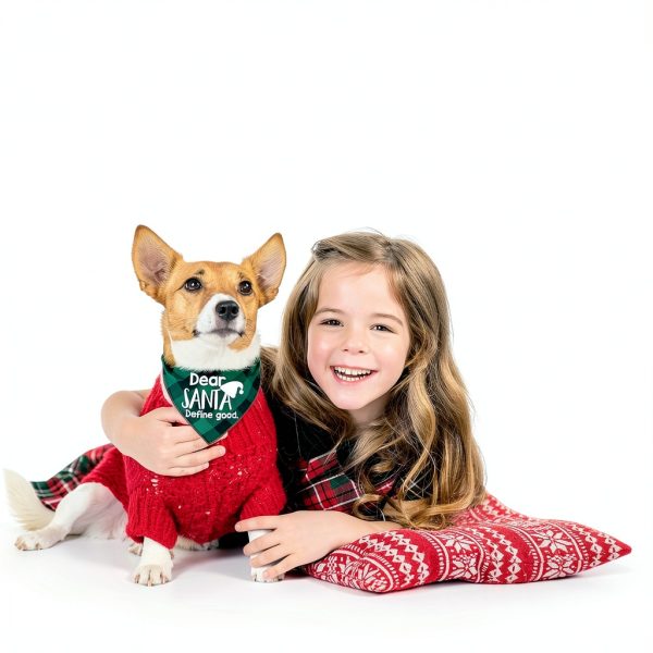 Remifa Christmas Dog Bandana Holiday Pattern Soft Fabric-4