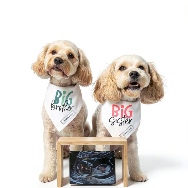 Realeaf Dog Bandana Pregnancy Announcement Durable Material-4