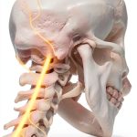Orthopedics Rheumatology Neurology Kindle eBook Medical-0