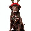Joyriza Dog Bandana My First Christmas Adjustable Pet Scarf-1