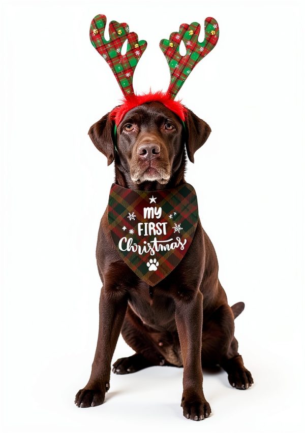 Joyriza Dog Bandana My First Christmas Adjustable Pet Scarf-1