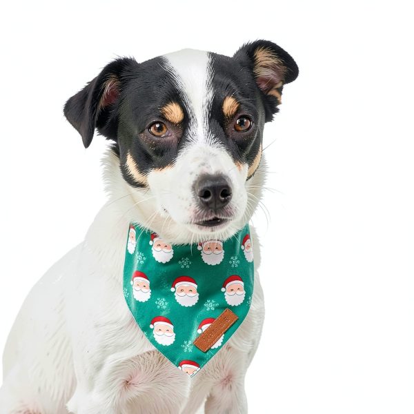 Realeaf Dog Bandana Christmas Design Dual Layer Durable-5