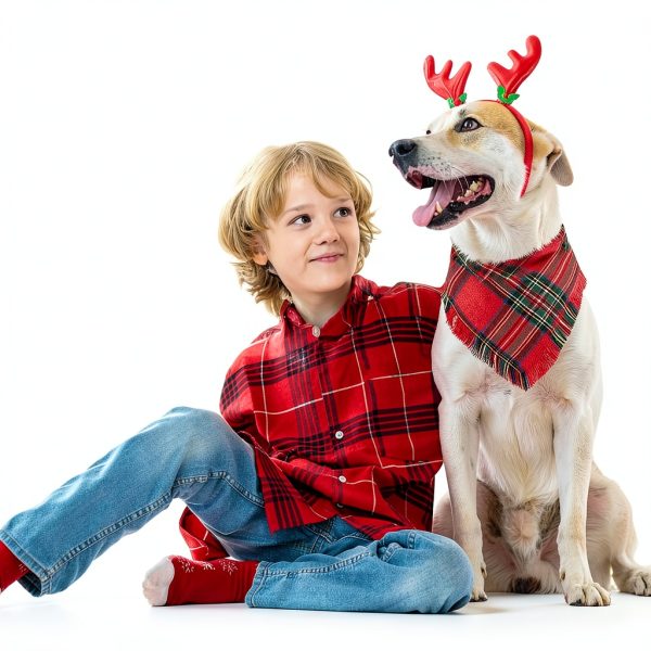 Dog Christmas Bandana Yicostar Plaid Tassel Design-5