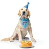 Dog Birthday Bandana Yicostar Soft Cotton Design-6