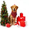 CozyHaus Christmas Dog Bandanas Large Red Plaid-6