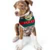 Dog Bandana Millionaire Mutt Polyester Parody-2