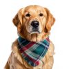 CozyHaus Christmas Dog Bandanas Large Red Plaid-5