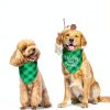 Agroon Dog Bandana Polyester Double‑Sided Holiday-5