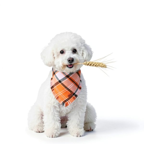 PTDECOR Fall Dog Bandana Small/XL Orange Plaid Tassel 2‑Pack-1