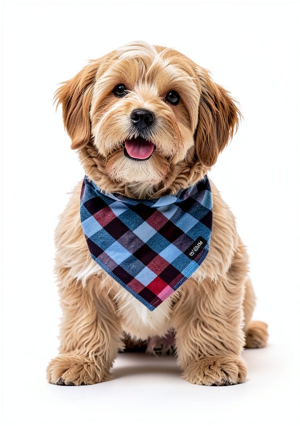youyishi Dog Bandana Cotton Plaid & Grid Designs Adjustable Sizes-4