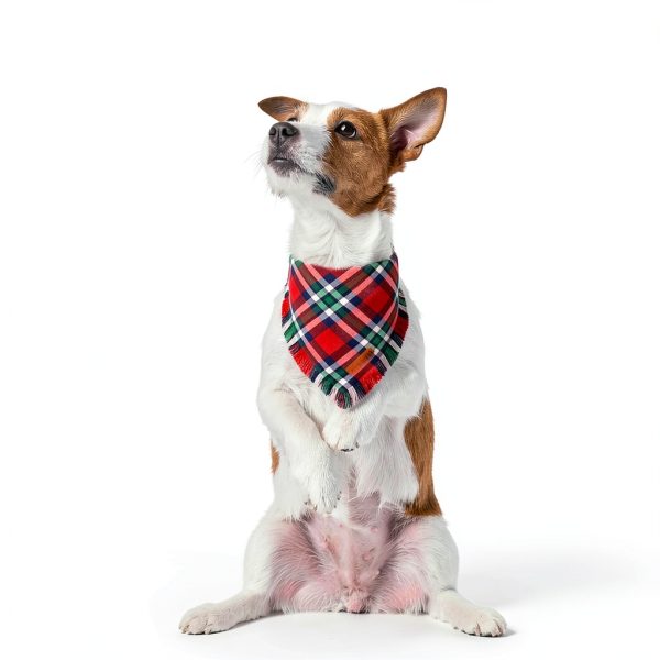 ADOGGYGO Christmas Dog Bandanas Premium Cotton Plaid Pack of Two Small-1
