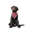 Adoggygo Christmas Dog Bandana Small Red Plaid Tassel with Soft Cotton-1