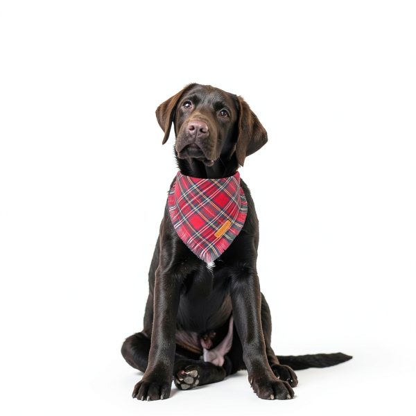 Adoggygo Christmas Dog Bandana Small Red Plaid Tassel with Soft Cotton-1